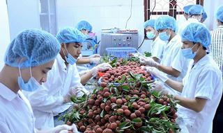Muốn thu hút đầu tư phải coi doanh nghiệp nông nghiệp là đối tượng cần được phục vụ