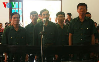 6 cựu chiến binh hầu tòa vì hủy hoại rừng
