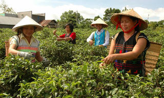 Câu chuyện đổi đời của bà Sáu