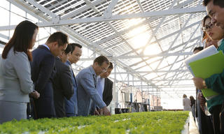 Bắt tay đối tác Nhật, FLC dự kiến đầu tư 1,5 tỷ USD vào nông nghiệp công nghệ cao Việt Nam