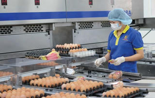 Ước mơ về thực phẩm sạch thành hiện thực từ một chủ trương đúng