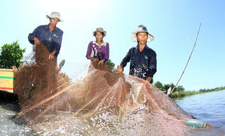 Lao đao vì đập thủy điện Trung Quốc ở thượng nguồn sông Mekong