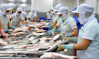 Năm 2018: Kỳ vọng doanh nghiệp là đầu tàu nền nông nghiệp