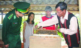 Cây đại thụ giữa bản làng A Lưới
