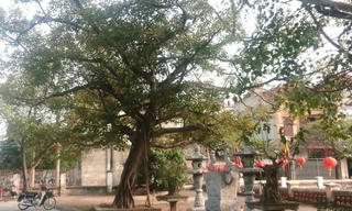 Nhớ làng nghề ngói cổ xinh đẹp nơi bờ Tây sông Nhuệ 
