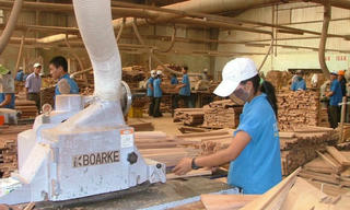 Xuất khẩu gỗ sẽ lập kỷ lục?