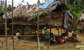 Phát hiện ngôn ngữ mới chỉ có khoảng 280 người sử dụng ở Malaysia