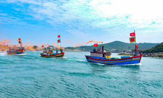 Trái ngọt vươn khơi