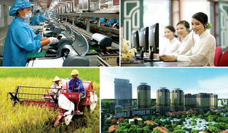 Tăng năng suất: Hành động quyết liệt hơn nữa!