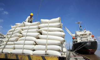 Cảng lớn nhất vùng ĐBSCL đẩy mạnh đầu tư hạ tầng logistics
