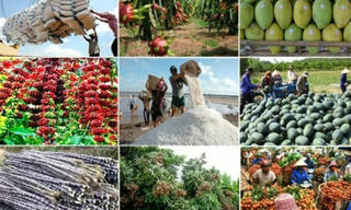 Nhiều tín hiệu kết nối thị trường từ các Tham tán thương mại…