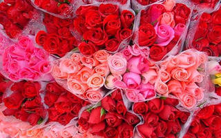 Thị trường quà tặng ngày 8/3: Xu hướng rẻ, đẹp “lên ngôi”