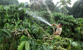 Tín dụng chính sách góp phần thay đổi bộ mặt Tây Nguyên