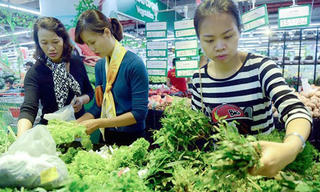 Hà Nội: Rau xanh “rớt” giá
