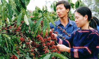 Cần xây dựng chiến lược tốt để không còn hiện tượng “giải cứu”