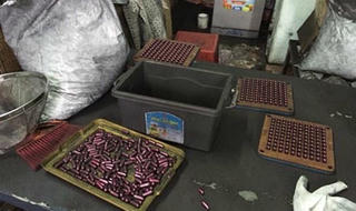 Sao bây giờ con người ác thế?