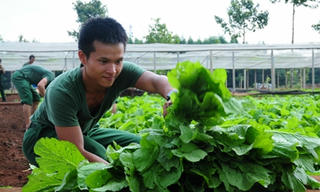 Bảo đảm tốt sức khỏe bộ đội trong mùa nắng nóng