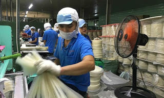 Giới trẻ “bơi” trong thị trường lao động