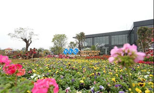 Lần đầu tiên Sầm Sơn có đường hoa dự kiến khai trương ngày 28/5 tới