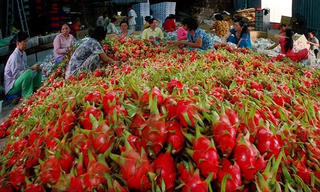 Xuất khẩu nông sản sẽ vượt 40 tỷ USD trong năm nay