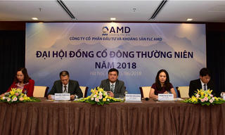 AMD dự kiến lợi nhuận 2018 tăng trưởng 20,5% 