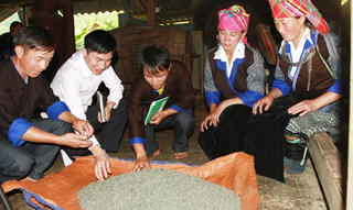 Sáng tươi vùng cao từ vốn tín dụng chính sách