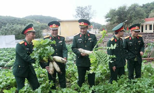 Mô hình giúp tiết kiệm cả chục tỷ đồng, nâng chất lượng bữa ăn bộ đội ở Quân khu 3