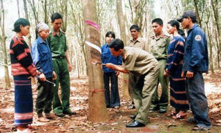 Xây dựng 'thế trận lòng dân' ở Binh đoàn 15