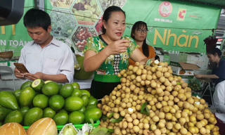 Người Hà thành ưa dùng nông sản Sơn La 