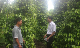 Mang Yang ưu tiên nguồn lực chăm lo gia đình chính sách