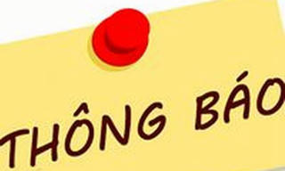Cục Thi hành án dân sự TP. Hồ Chí Minh thông báo