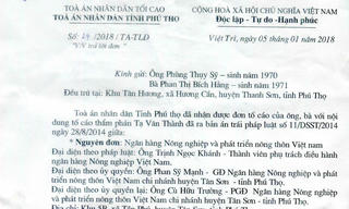 Vụ “Thẩm phán bị “tố” ra bản án trái luật”: Ủy ban Tư pháp của Quốc hội đề nghị báo cáo trước ngày 25/8