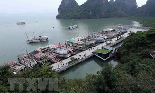 Quảng Ninh đình chỉ hoạt động 20 tàu du lịch trên Vịnh Hạ Long