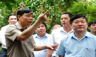 Lãnh đạo tỉnh Hưng Yên mỗi ngày dành 2 tiếng đồng hồ đi… bán nhãn 