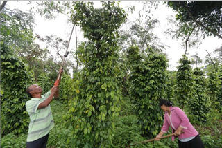 Không lo thiếu tiền, chỉ lo thiếu quyết tâm đi học