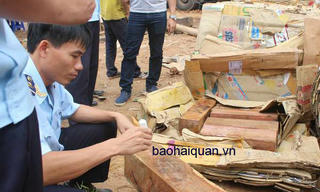 Phát hiện hàng nghìn thanh gỗ lậu ngụy trang trong giấy phế liệu