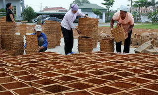 Miễn thủ tục gửi thang, bảng lương đối với DN dưới 10 lao động