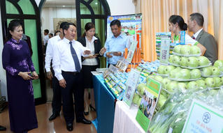Thiếu 'đầu tàu' mạnh đưa hàng Việt tiếp cận người Việt