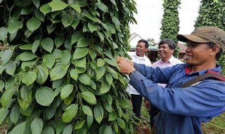 Ước mơ lớn từ những bon nhỏ