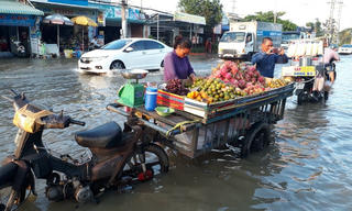 Ám ảnh cảnh triều cường dâng cao kỷ lục ở Bạc Liêu