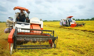 Xuất khẩu nông nghiệp đạt gần 160 tỷ USD sau 5 năm tái cơ cấu