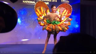 Váy 'Bánh mỳ' của H'Hen Niê ở Miss Universe gây tranh cãi