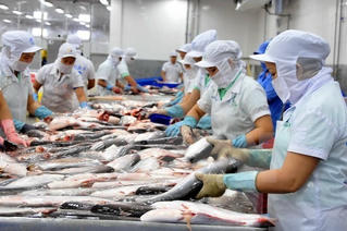 Giá trị xuất khẩu thủy sản đạt 8,1 tỷ USD trong 11 tháng qua