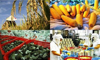 Nông sản thuận đường ra nước ngoài nhờ Việt Nam gia nhập FTA