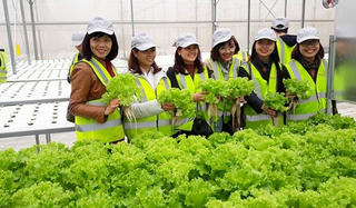 Tìm ưu thế cạnh tranh cho giải pháp Nông nghiệp thông minh “nội”