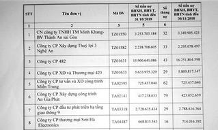 Nghệ An: Chuyển hồ sơ 14 đơn vị vi phạm pháp luật về BHXH sang cơ quan Công an
