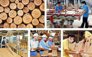 Ngành gỗ đặt mục tiêu xuất khẩu 10,5 tỷ USD