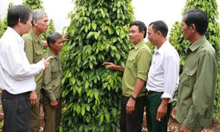 Chế độ bảo hiểm xã hội đối với cựu chiến binh
