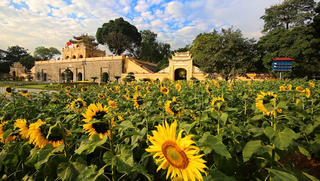 16 năm lắng nghe “lời của đất” ở Hoàng thành Thăng Long