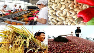 Sức mạnh nông nghiệp